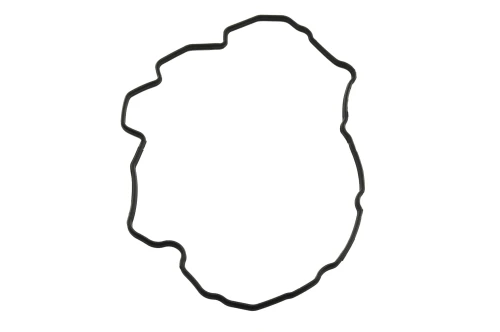 4899228.JPG