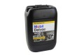 MOBIL DELVAC MX ESP 10W-30 (2).JPG