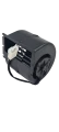 332_Z2097.png
