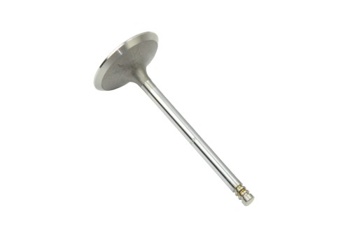 3142h011.JPG