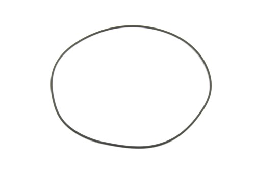 317125.JPG