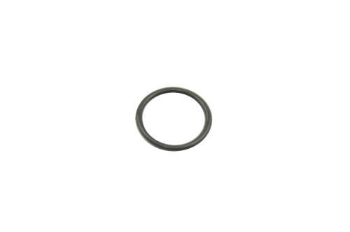 82800236.JPG