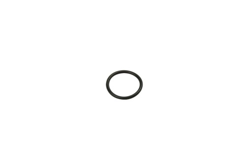 5P8066.JPG