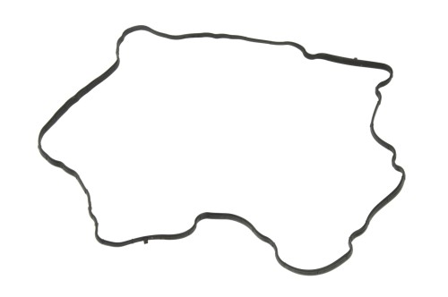 2984546.JPG
