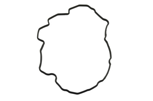 4899228.JPG